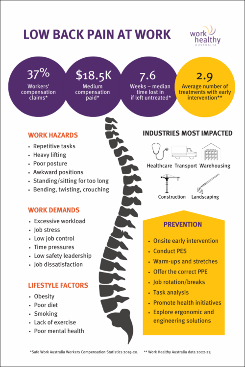 5 facts about low back pain in the workplace you can't ignore