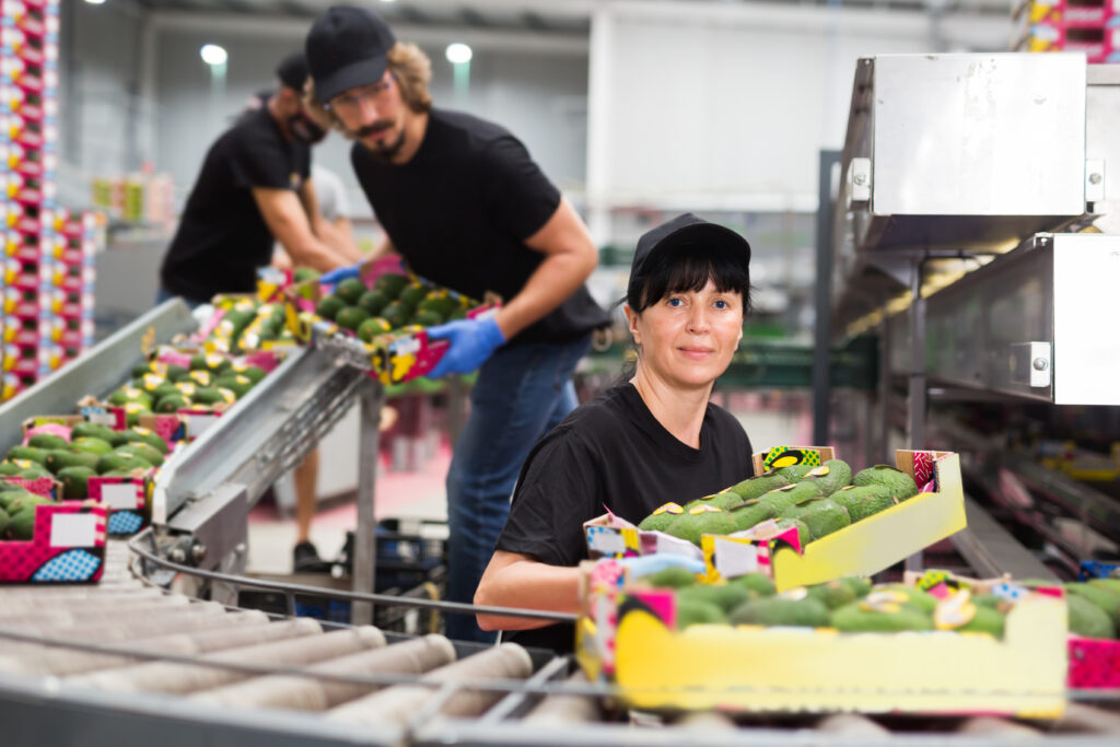 warehouse worker loading box with fresh avocado fruits on packing facility